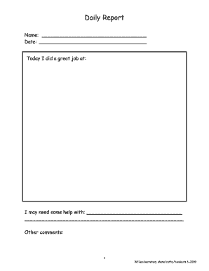 Daily Report Form