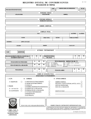 Form preview picture