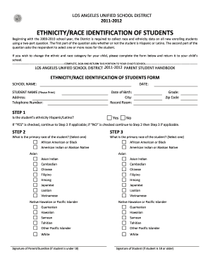 Ethnicity/Race Identification Form