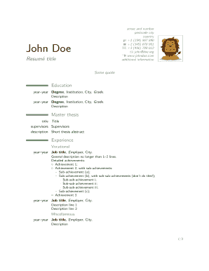 Professional Resume Template