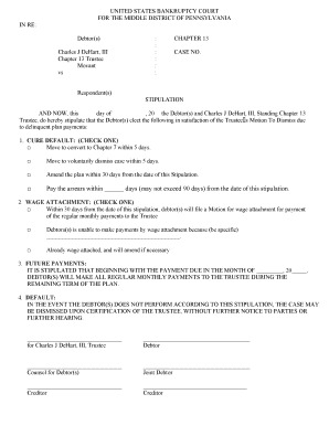Chapter 13 Bankruptcy Stipulation Form