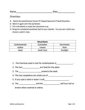 Seed Dissection Worksheet