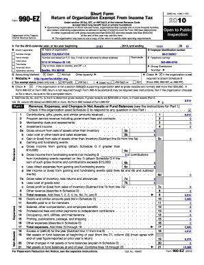 Form 990-EZ 2010
