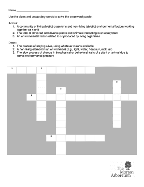 Crossword Puzzle Worksheet