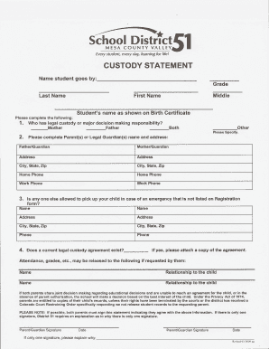 Custody Statement Form