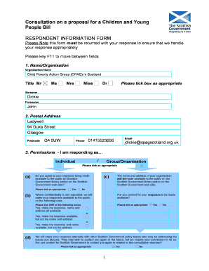 Children and Young People Bill Consultation Form