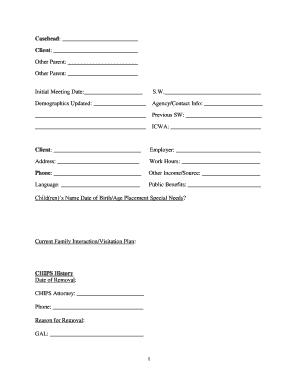 Child in Need of Services (CHIPS) Case Information Form