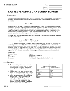 Thermochemistry Lab Report