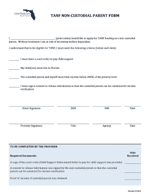 TANF Non-Custodial Parent Application Form
