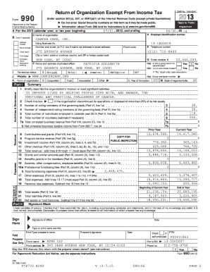 Form 990 Tax Exempt Organization Return