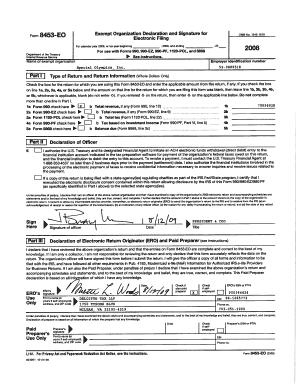 IRS Form 990 2008