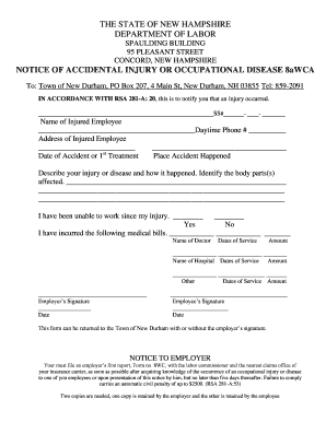 New Hampshire Accidental Injury Notice