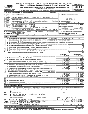 IRS Form 990 2011