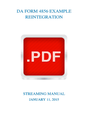 Da 4856 pdf - DA FORM 4856 EXAMPLE REINTEGRATION - Streaming - streamingmanual