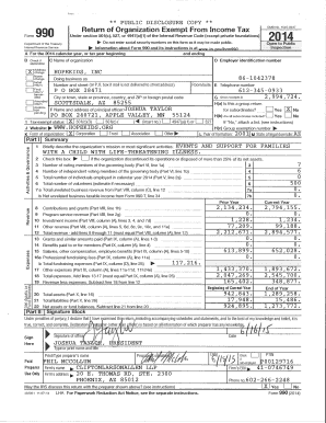 Form 990 2014 HopeKids Inc
