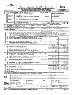 Form 990 2013