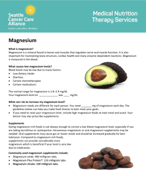 Magnesium Level Information Sheet