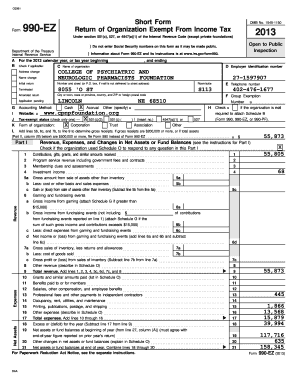 Form 990-EZ 2013