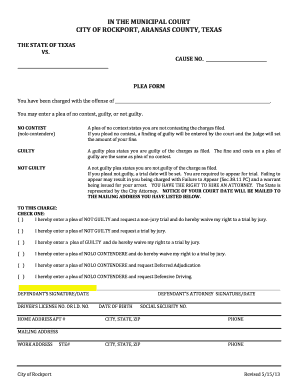 Texas Plea Form