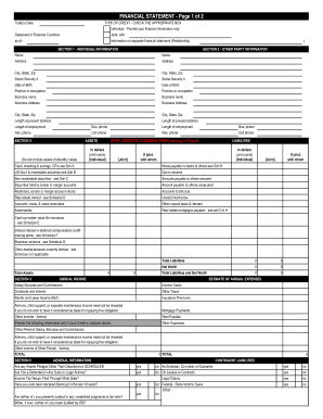 Financial Statement Form