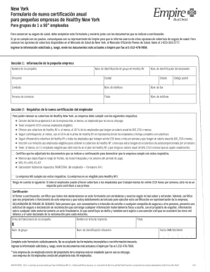 Formulario de nueva certificación anual para pequeñas empresas de Healthy New York