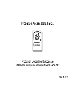 Probation Access Data Fields