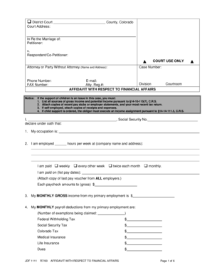 Affidavit with Respect to Financial Affairs