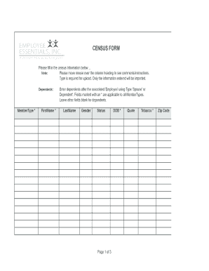 Census Form