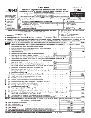 Form 990-EZ 2004