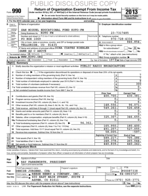 Form 990 2013