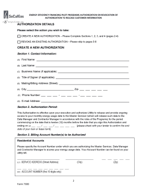 Energy Efficiency Financing Authorization Form