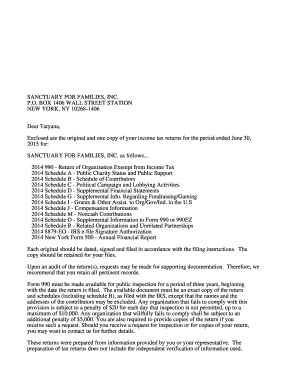 IRS Form 990 Tax Return
