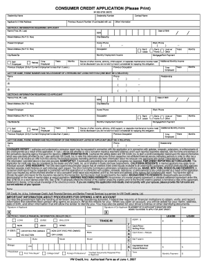 Consumer Credit Application