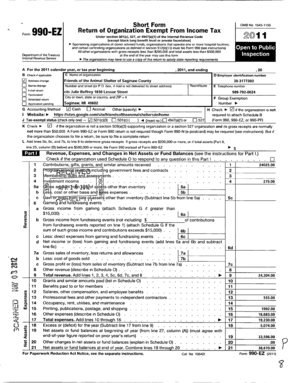 Form 990 EZ 2011