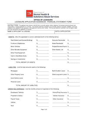 Licensure Application Financial Statement Form