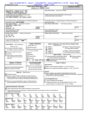 US Bankruptcy Court Voluntary Petition