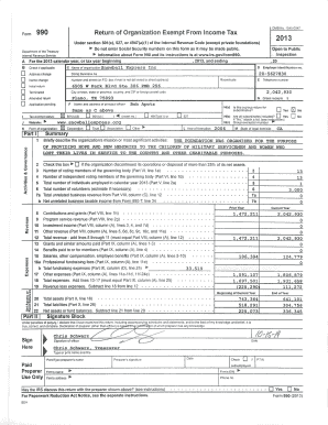Form 990 2013