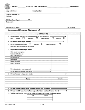 Missouri Income and Expense Statement