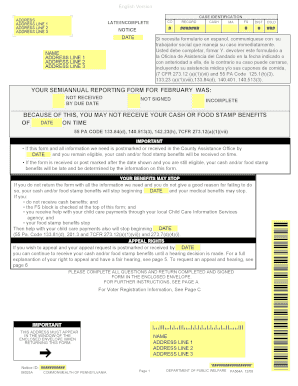 Pennsylvania Semi-Annual Reporting Form