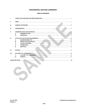 Professional Services Agreement