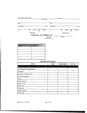 Financial Statement for Circuit Court Case