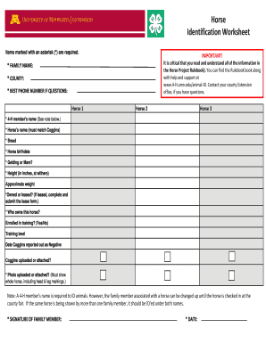 4-H Horse Identification Worksheet