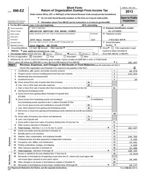 Form 990-EZ 2013