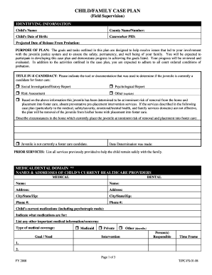 CHILDFAMILY CASE PLAN Field Supervision - co el-paso tx