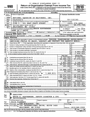 Form 990 2010