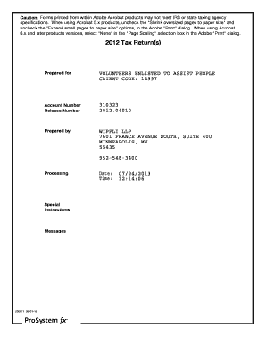 IRS Form 990 Tax Return