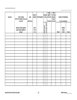 Lincolnshire County Council Music Service Pupil Information Form