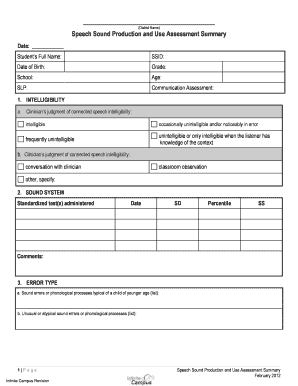 Speech Sound Production Assessment Summary