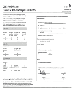 OSHA Form 300A Summary of Work-Related Injuries and Illnesses