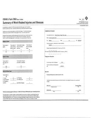 OSHA Form 300A Summary of Work-Related Injuries and Illnesses